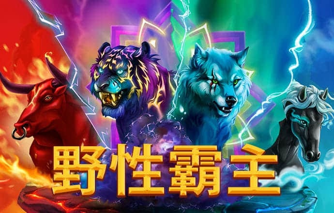 迈博体育app